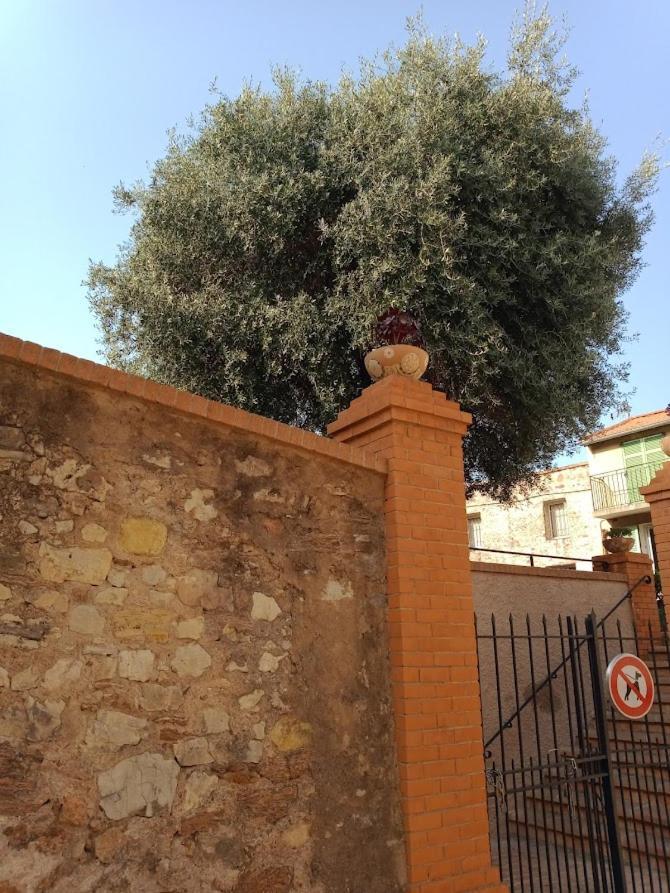 Cadre De Reve Mais Vous Faites Le Menage- Very Good Prices But You Have To Clea-N Th-E Flat Cannes Exterior photo